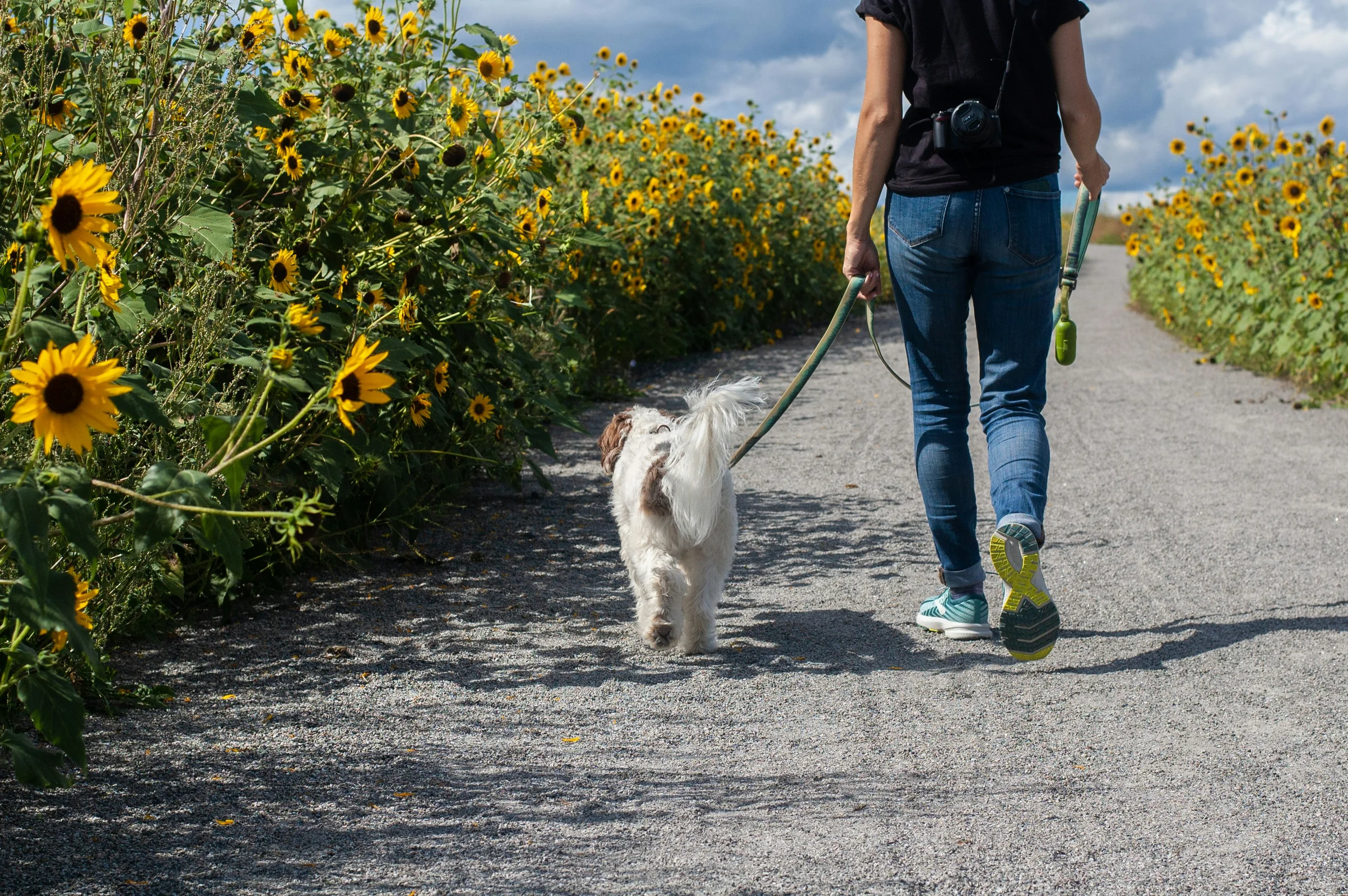 Dog walker preparing an invoice after completing a customer visit