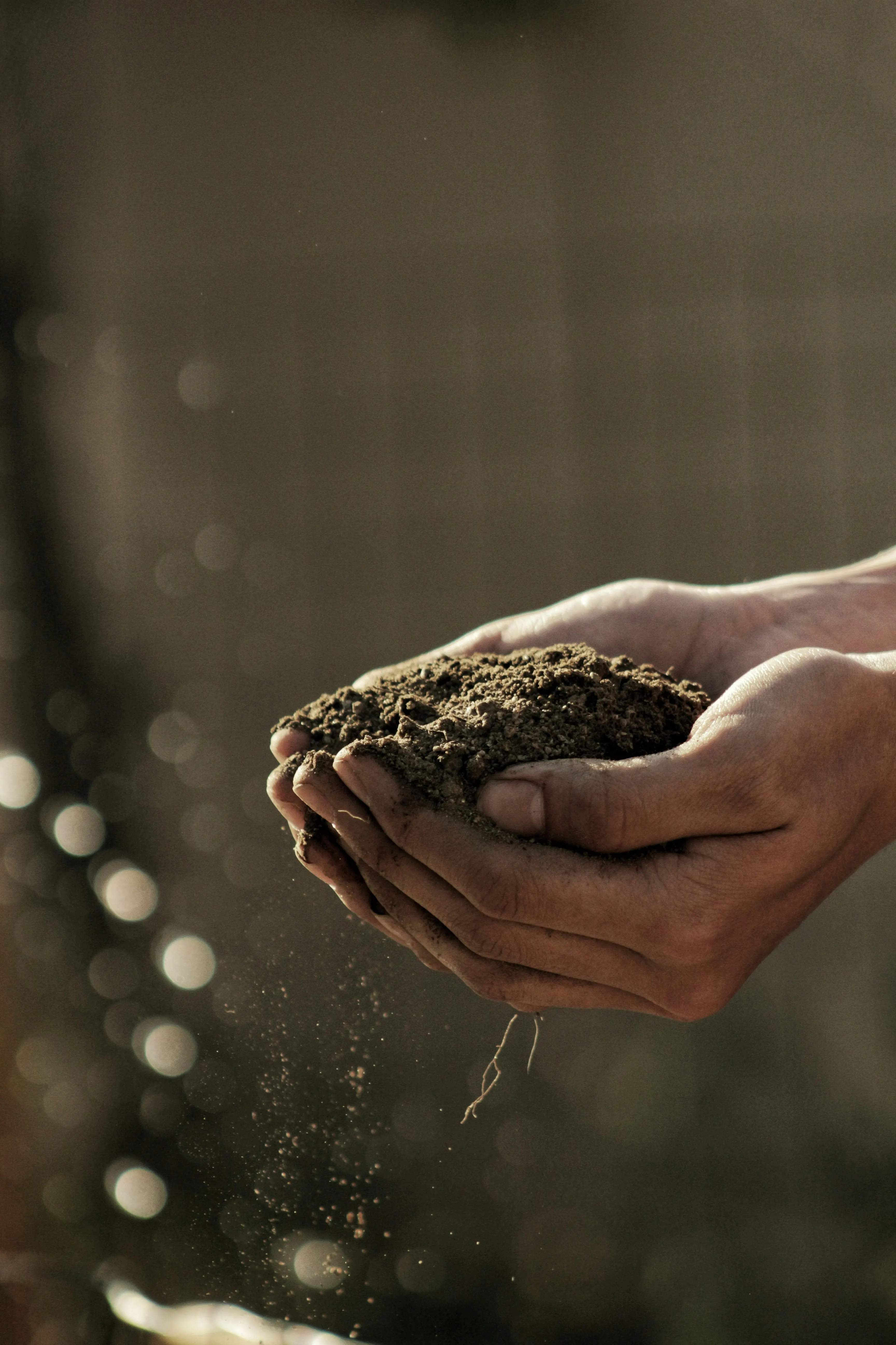 Agricultural contractor using a farming invoice template for customer billing