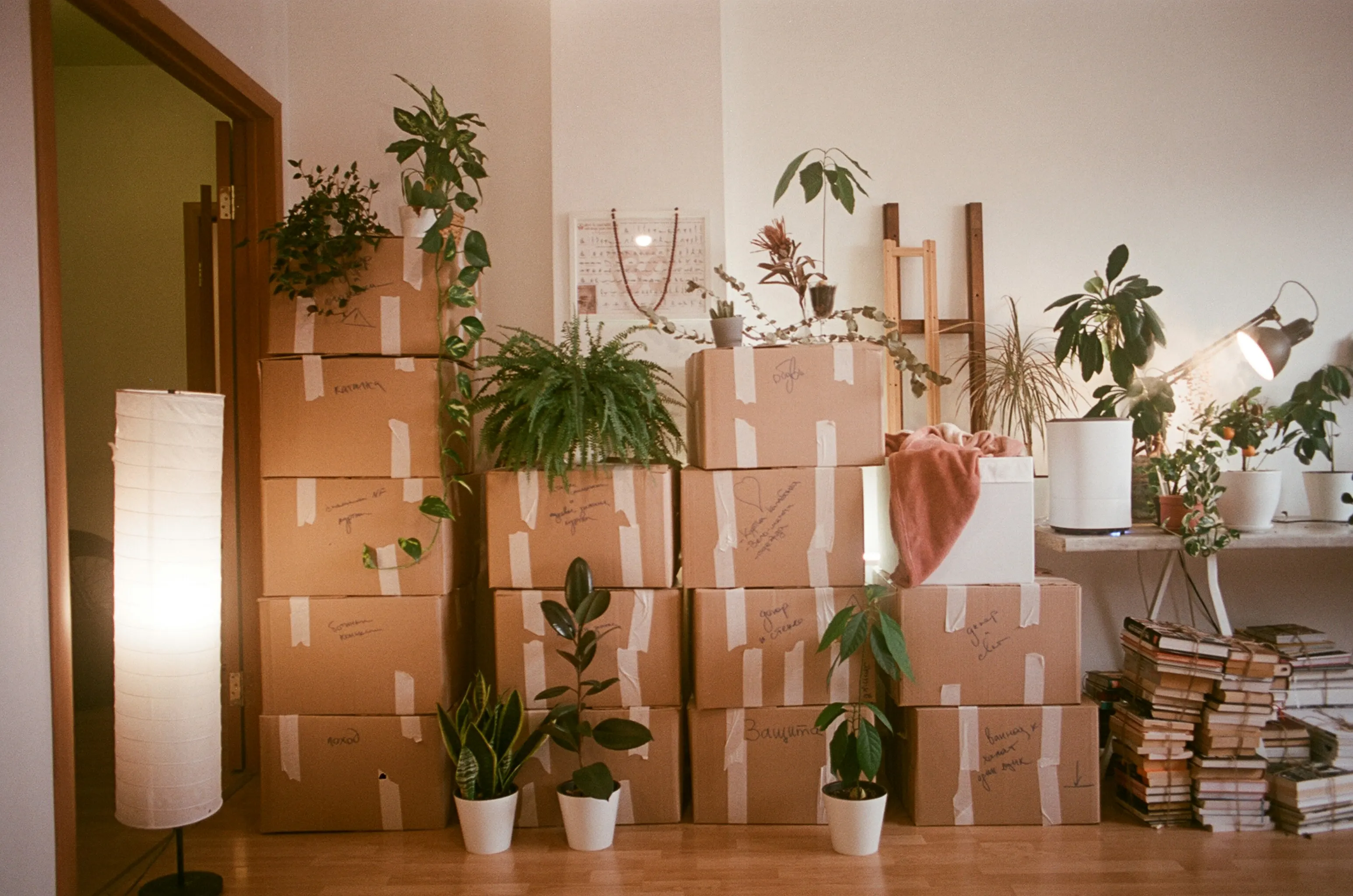Removal company using a moving company invoice template