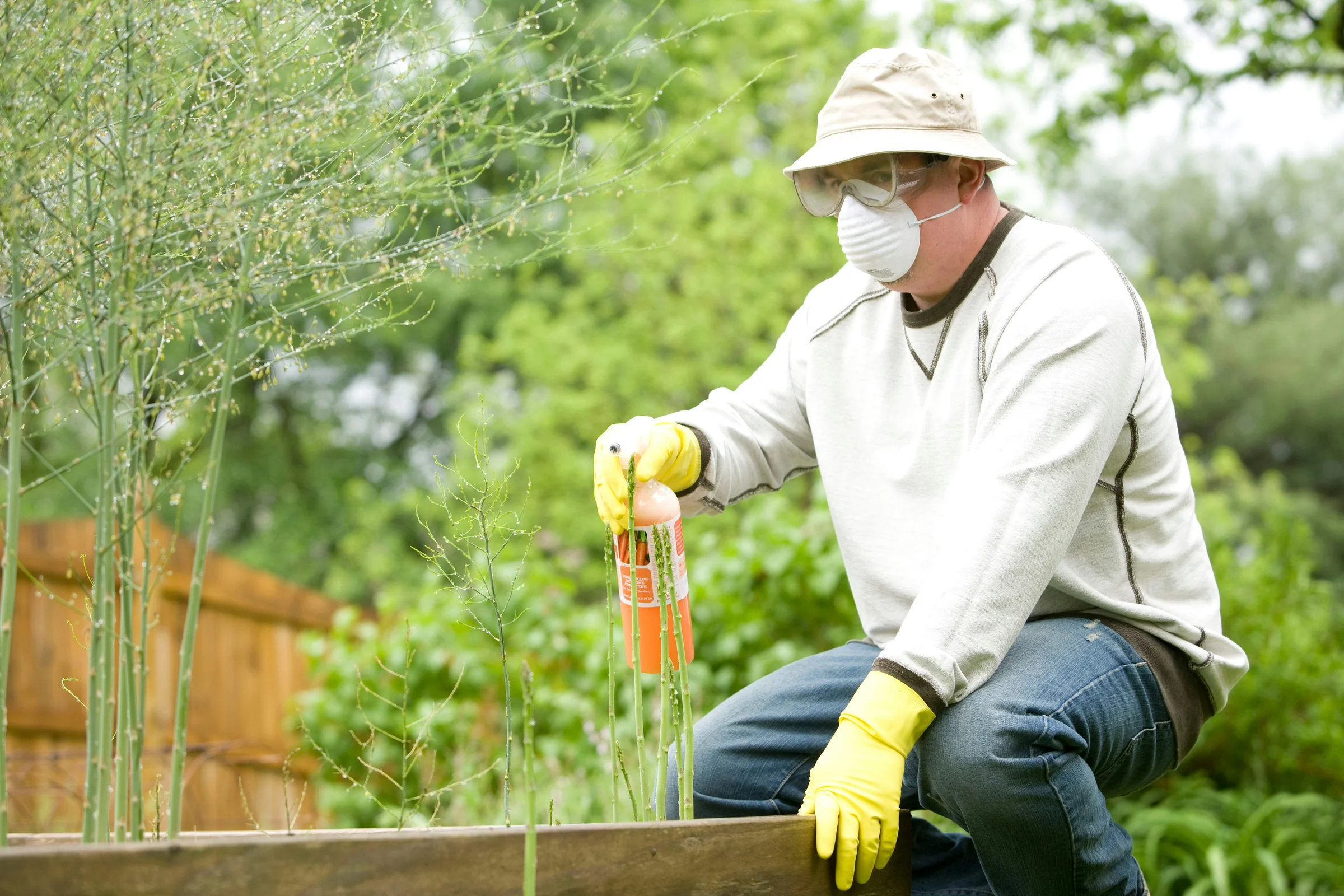 Pest control invoice example for treatment and inspection services