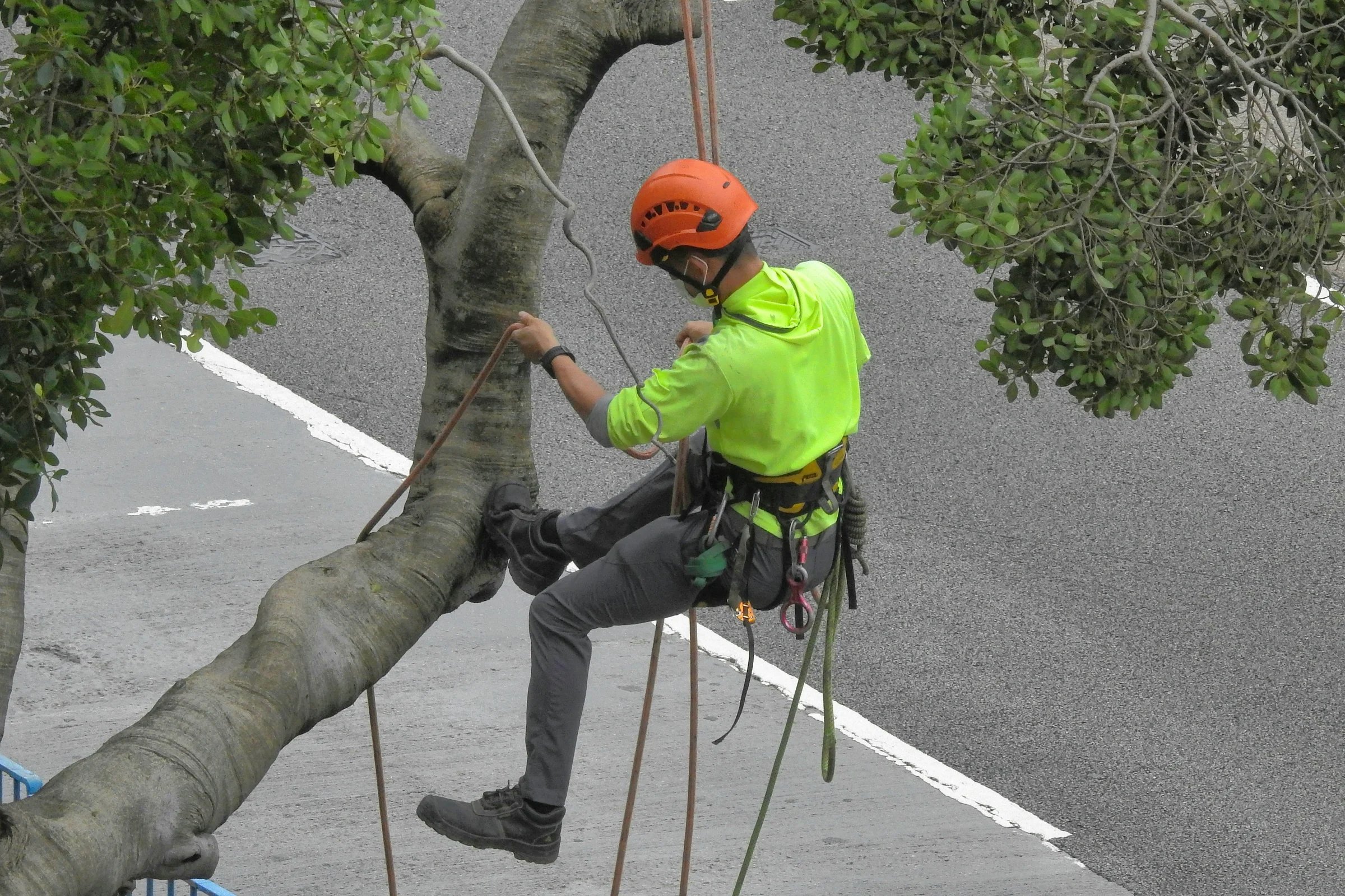 Tree service contractor preparing an invoice after completing tree work