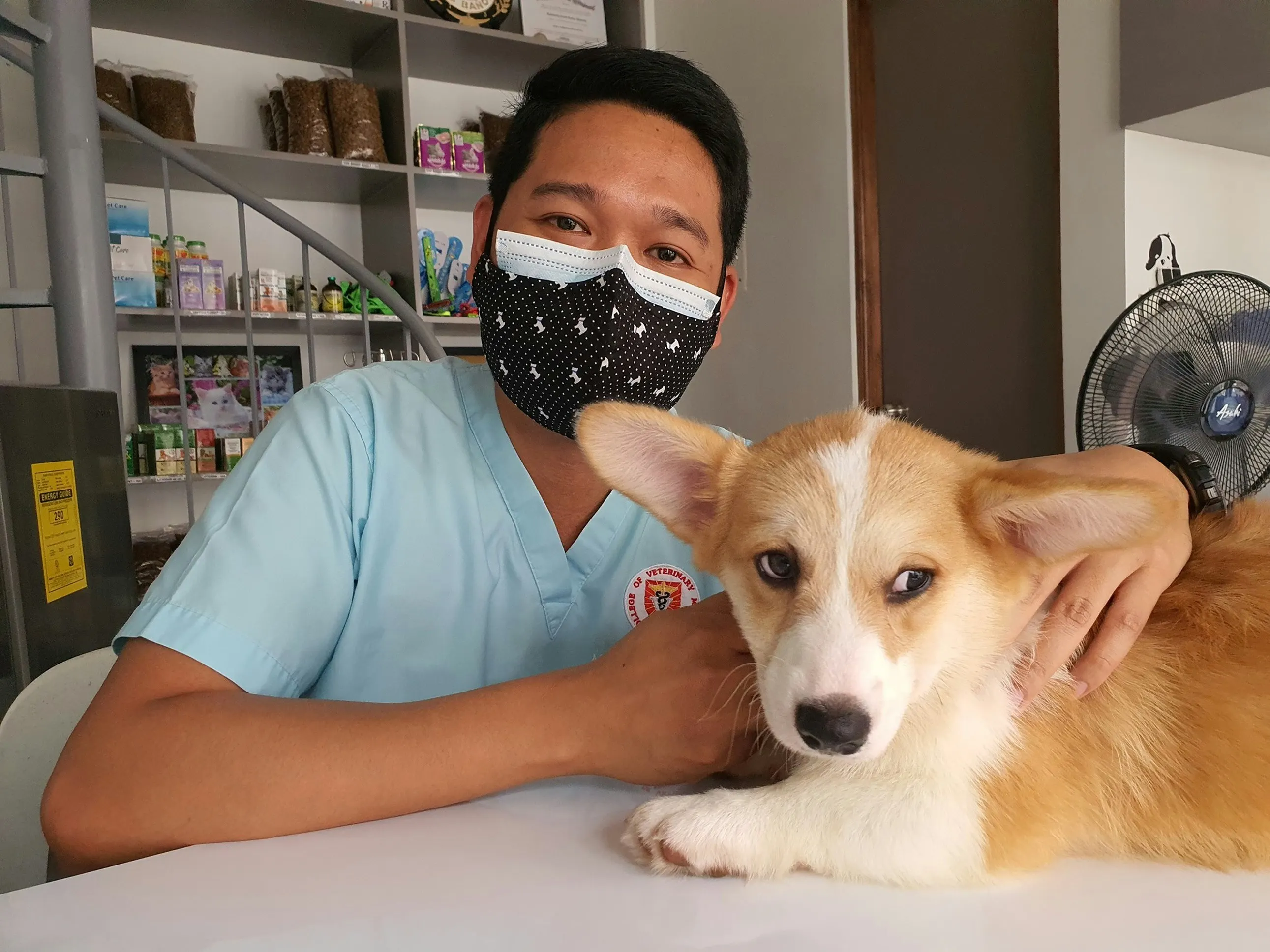 Veterinarian preparing a veterinary invoice template for pet treatment services